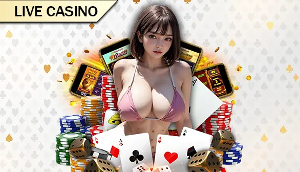 Casino NOVO77